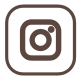 Instagram Icon